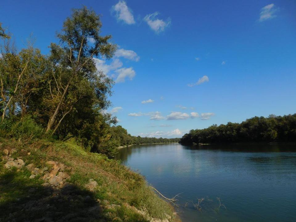 Kod Ribica Acomodação com café da manhã Jasenovac Exterior foto